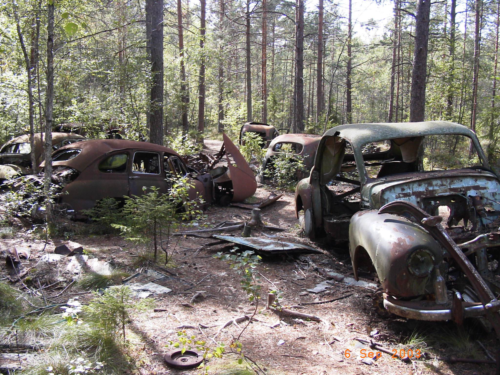 175.Parkplatz im Wald