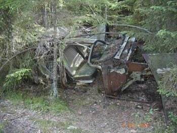 159.Der Wald und seine Gegner 